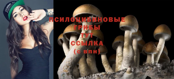 гашишное масло Аркадак