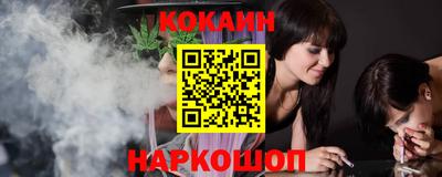Альфа ПВП Будённовск