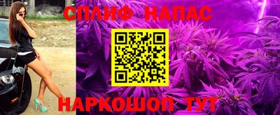 Альфа ПВП Будённовск