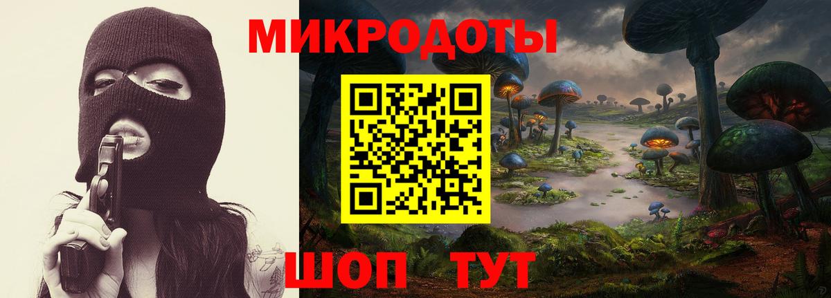 Псилоцибиновые грибы ЛСД  Вход с VPN  Карачаевск 