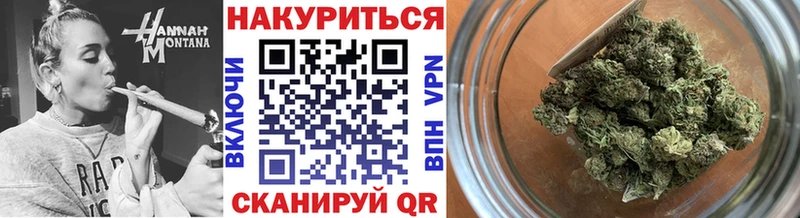 Бошки Шишки планчик  закладка  Карачаевск 